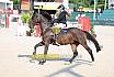 Samstag Amateur Bronze
