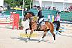 Samstag Amateur Bronze