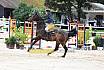 Sa Amateure Silber