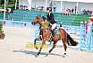 Samstag Amateur Bronze