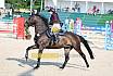 Samstag Amateur Bronze