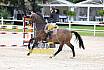 Sa Amateure Gold