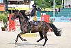 Samstag Amateur Bronze