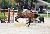 Sa Amateure Gold