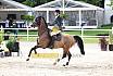 Sa Amateure Gold