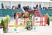 Samstag Amateur Gold