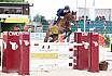 Samstag Amateur Gold