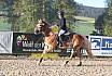 Sonntag Springreiter WB 