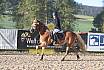 Sonntag Springreiter WB 