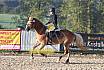 Sonntag Springreiter WB 