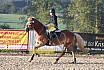 Sonntag Springreiter WB 