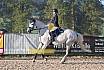 Sonntag Springreiter WB 