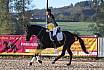 Sonntag Springreiter WB 