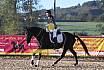 Sonntag Springreiter WB 