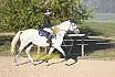Sonntag Springreiter WB 