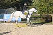 Sonntag Springreiter WB 