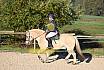 Sonntag Springreiter WB 