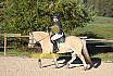 Sonntag Springreiter WB 