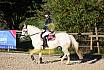 Sonntag Springreiter WB 
