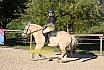 Sonntag Springreiter WB 