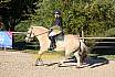 Sonntag Springreiter WB 
