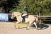 Sonntag Springreiter WB 