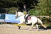 Sonntag Springreiter WB 