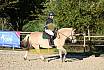 Sonntag Springreiter WB 
