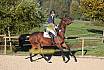 Sonntag Springreiter WB 