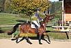 Sonntag Springreiter WB 