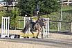 Sonntag Springreiter WB 