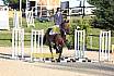 Sonntag Springreiter WB 