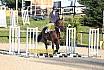 Sonntag Springreiter WB 