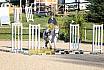 Sonntag Springreiter WB 