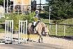 Sonntag Springreiter WB 