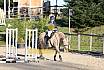 Sonntag Springreiter WB 