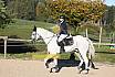 Sonntag Springreiter WB 
