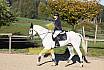 Sonntag Springreiter WB 