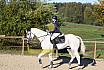Sonntag Springreiter WB 