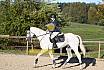 Sonntag Springreiter WB 
