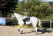 Sonntag Springreiter WB 