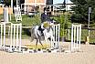 Sonntag Springreiter WB 