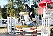 Sonntag Springreiter WB 