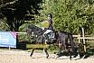 Sonntag Springreiter WB 