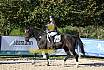 Sonntag Springreiter WB 