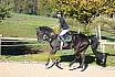 Sonntag Springreiter WB 