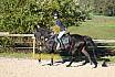 Sonntag Springreiter WB 