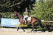 Sonntag Springreiter WB 