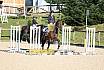 Sonntag Springreiter WB 