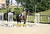 Sonntag Springreiter WB 
